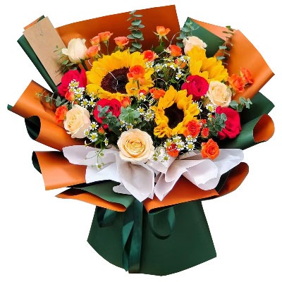 Ȫ�ݽ����л���