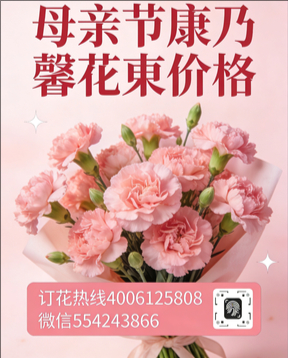 泉州晋江市花店母亲节康乃馨花束